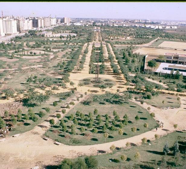 sevilla-parque-de-amate-vista