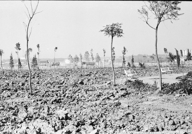 sevilla-parque-de-los-principes-construccion