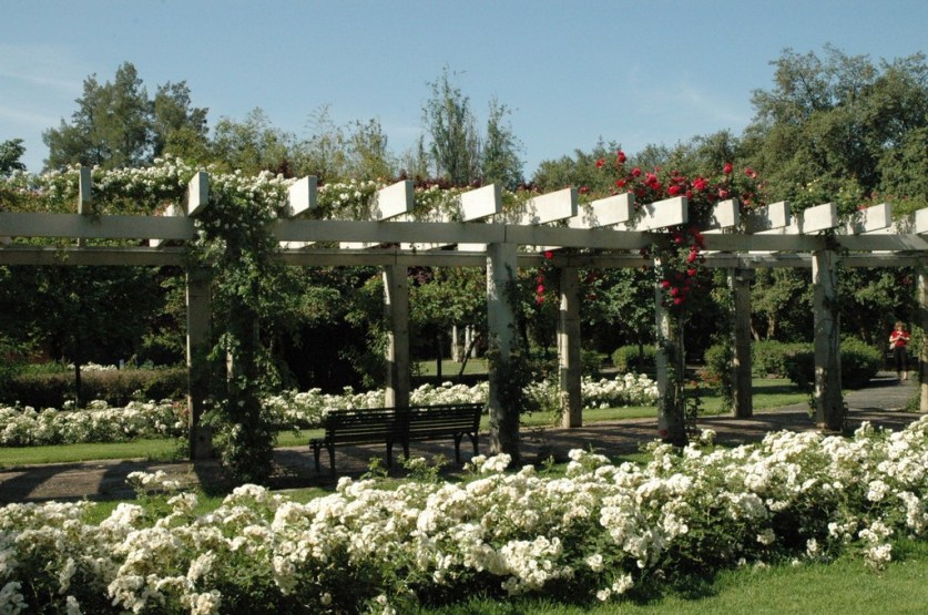 sevilla-parque-de-los-principes-la-sevillana-blanco016_redimensionar