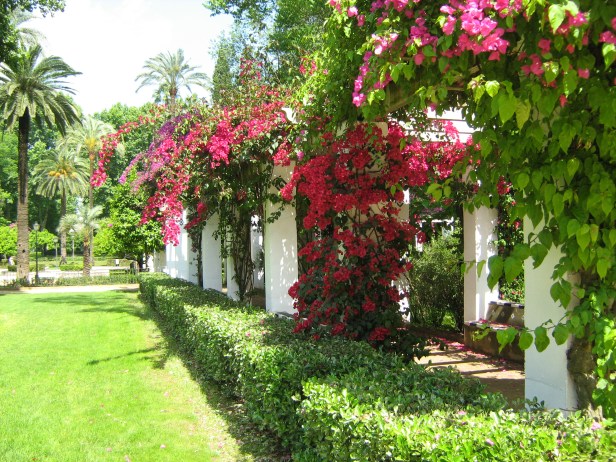 sevilla-parque-de-maria-luisa-165