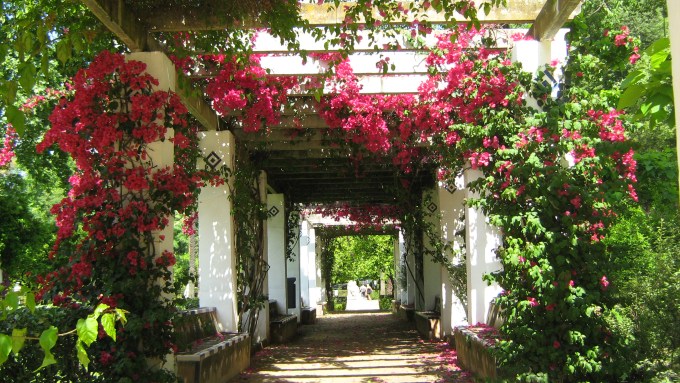 sevilla-parque-de-maria-luisa-166