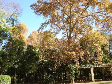 sevilla-parque-de-maria-luisa-036-2