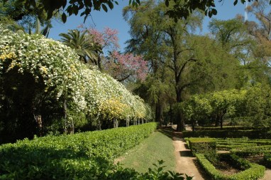 sevilla-parque-de-maria-luisa-050