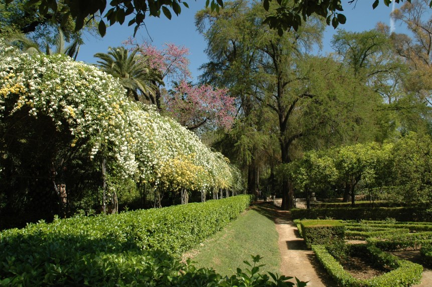 sevilla-parque-de-maria-luisa-050