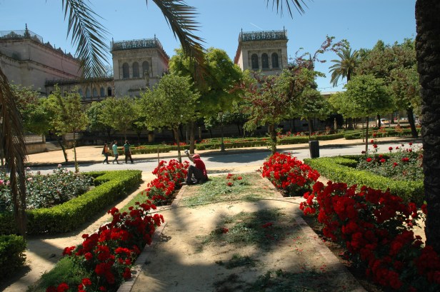 sevilla-parque-de-maria-luisa-076