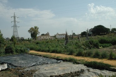 sevilla-parque-de-miraflores-huertos-familiares