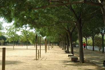 sevilla-parque-de-miraflores-sur