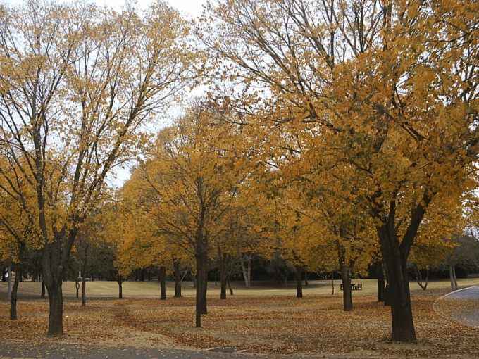 sevilla-parque-del-alamillo-q2
