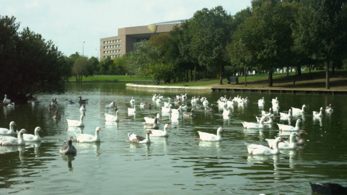 sevilla-parque-del-alamillo