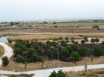 sevilla-parque-del-tamarguillo-tercer-incendio-2