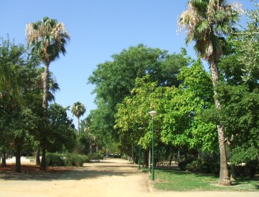 sevilla-parque-jose-celestino-mutis-k