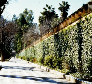 sevilla-paseo-catalina-de-ribera-3