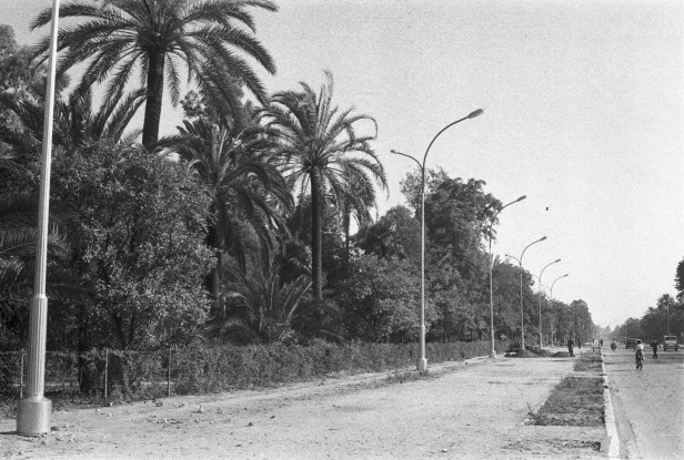 sevilla-paseo-de-las-delicias-a3