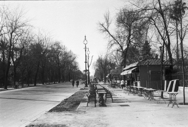 sevilla-paseo-de-las-delicias