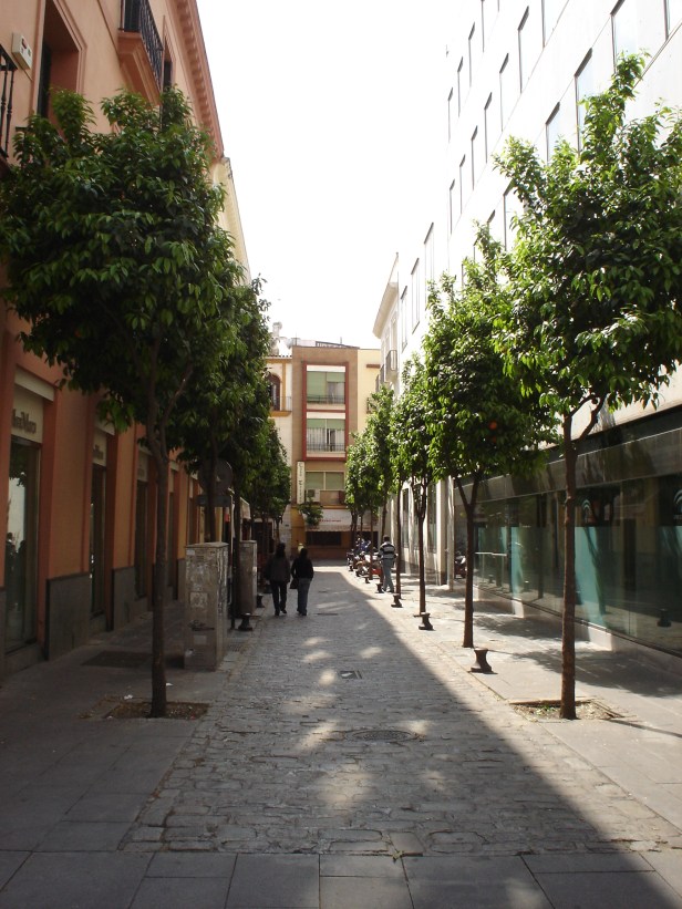 sevilla-paso-de-cofradias-poda