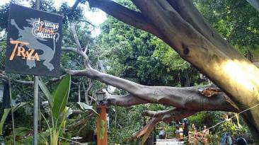 sevilla-rama-restaurante-raza-raza2