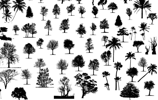 siluetas-arboles-vector-silueta-arbol-tree-silhouette