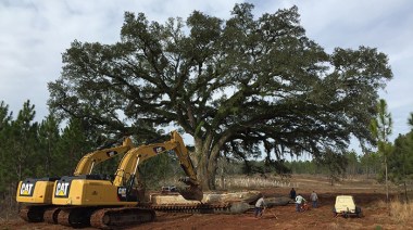 transplanting-large-tree