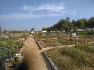 vega-de-triana-12-0ct-2016-012