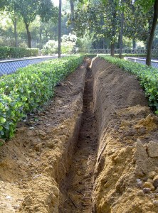 zanjeados-entre-setos-establecidos