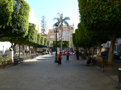 almeria-ficus-arquitecturizados