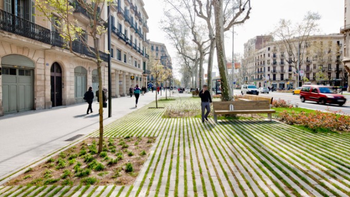 arbol-passeig-de-st-joan-boulevard-by-lola-domecc80nech-05c2a9-adriacc80-goula