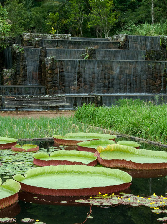 burle-marx-1979-vargem-grande-areias-brazil-5