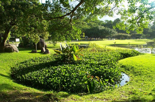 burle-marx-parque-del-este-x1_redimensionar