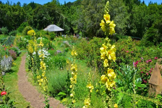 ecosistema-dsc-biodinersidad