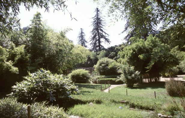 francia-anduze-la-bambuserie-2003-af