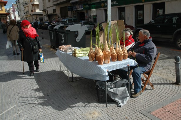 huelva-venta-de-palmitos