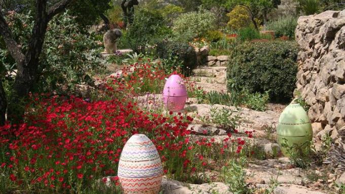 jardin-mediterraneo-ajardin-lirios-y-rosas-benissa-9