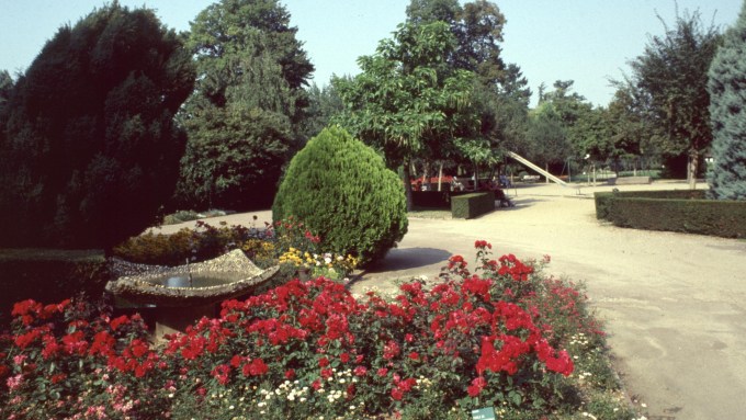 jardineria-urbana-parterres-de-flor-mh