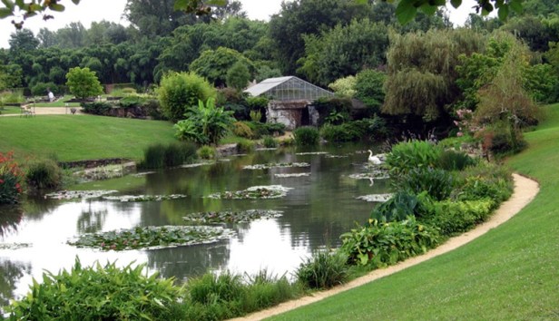 latour-marliac-jardin-nenufares-2