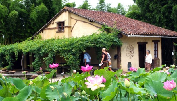 latour-marliac-jardin-nenufares-9