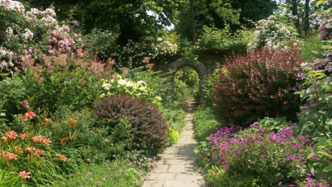 mixed_border-1024x768