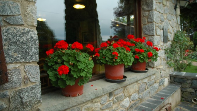 mollo-hotel-restaurant-calixto-c