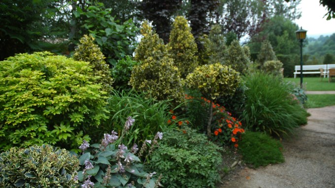 mollo-hotel-restaurant-calixto-d