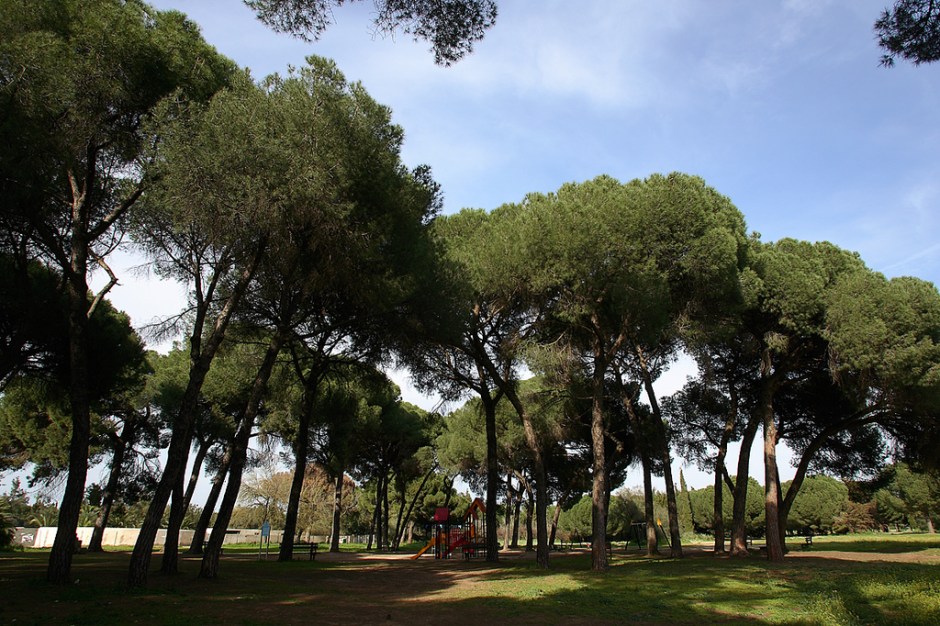 parque-de-la-corchuela-entorno1