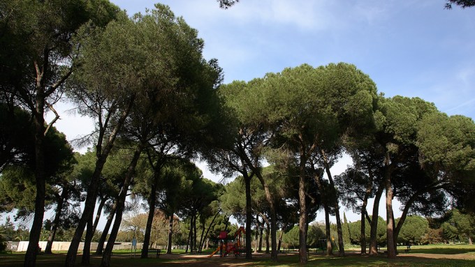 parque-de-la-corchuela-entorno1