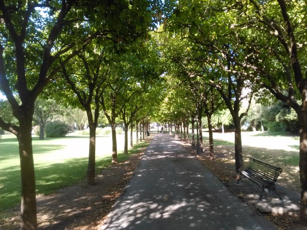 parque-de-loa-principes-159