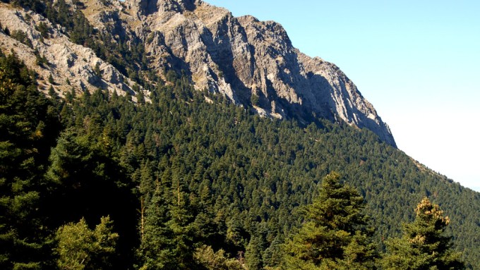 parque-natural-pinsapar_grazalema