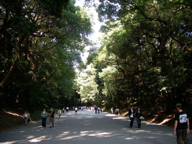 SANYO DIGITAL CAMERA