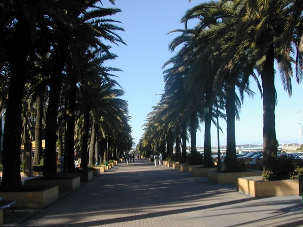 phoenix-en-el-puerto