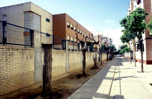 poda-instinto-arboricida-en-bda-miraflores