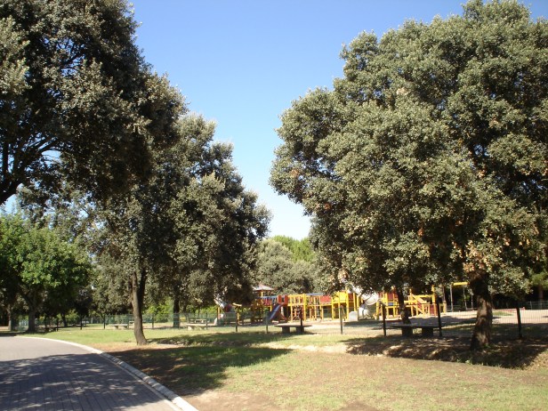 quercus-ilex-parque-del-alamillo-jun-2011-044