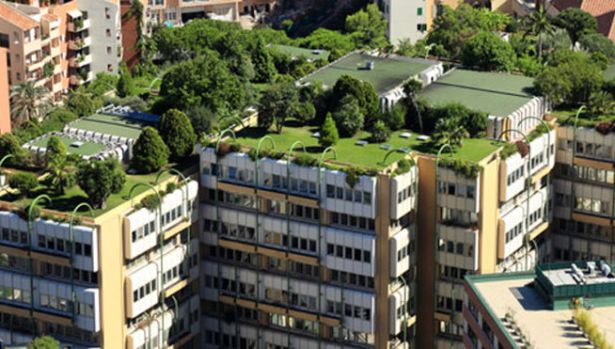 azoteas_verdes_sevilla-casas_respetuosas_medioambiente_