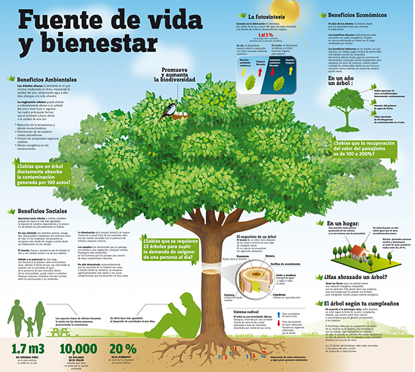 INFOGRAFIA ARBOL OK