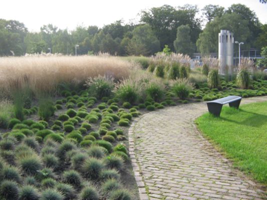 cubierta_vegetal_diadem_150_3