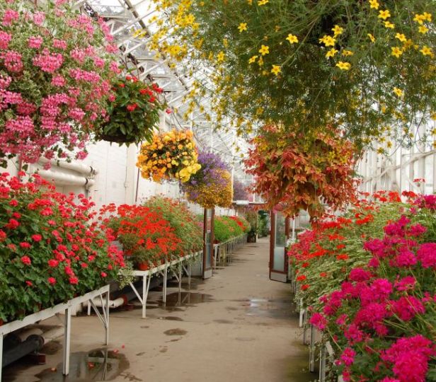 david-welch-winter-garden-1